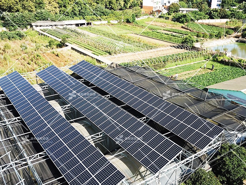 �������޹�����ɫ��Դ���޹�˾