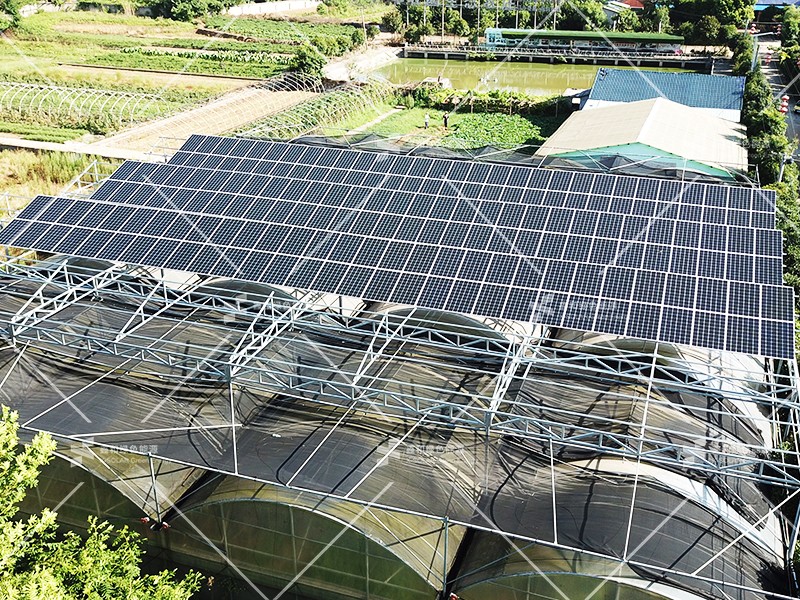 �������޹�����ɫ��Դ���޹�˾