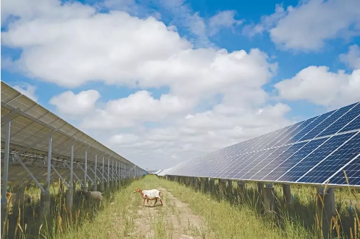 �������޹�����ɫ��Դ���޹�˾