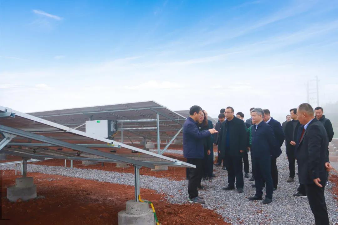 �������޹�����ɫ��Դ���޹�˾