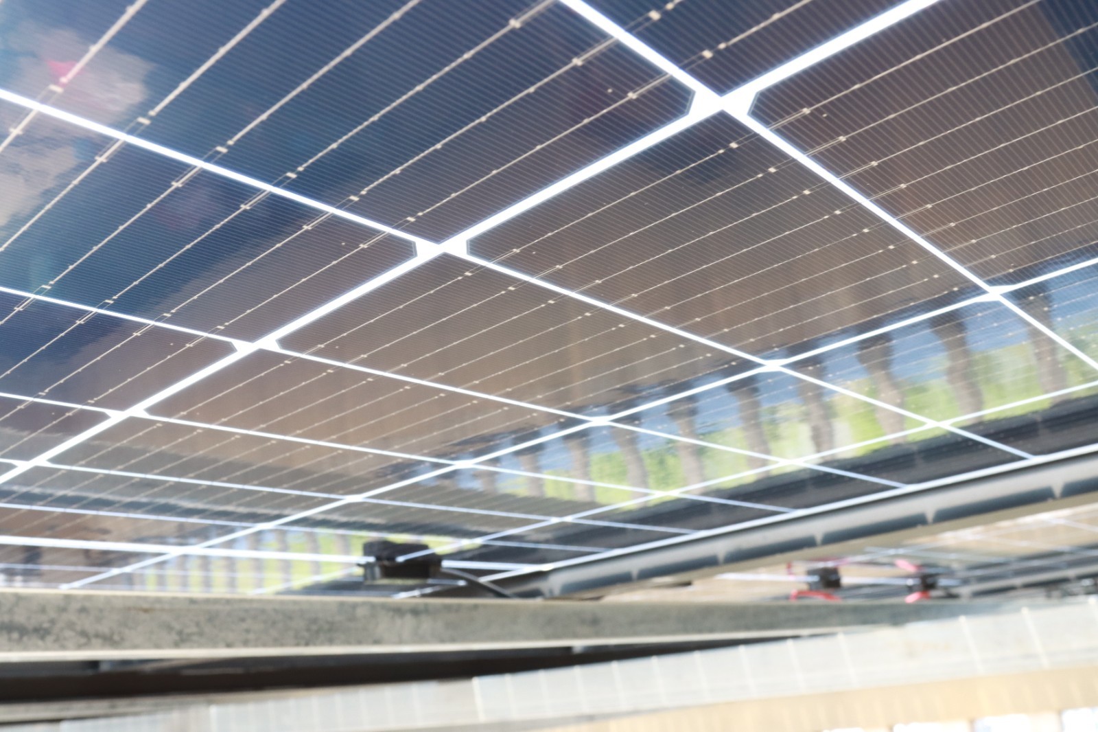 ºþ±±¾ÅÖÞ¹ú¼ÊÂÌÉ«ÄÜÔ´ÓÐÏÞ¹«Ë¾ ºþ±±¾ÅÖÞ¹ú¼ÊÂÌÉ«ÄÜÔ´ÓÐÏÞ¹«Ë¾