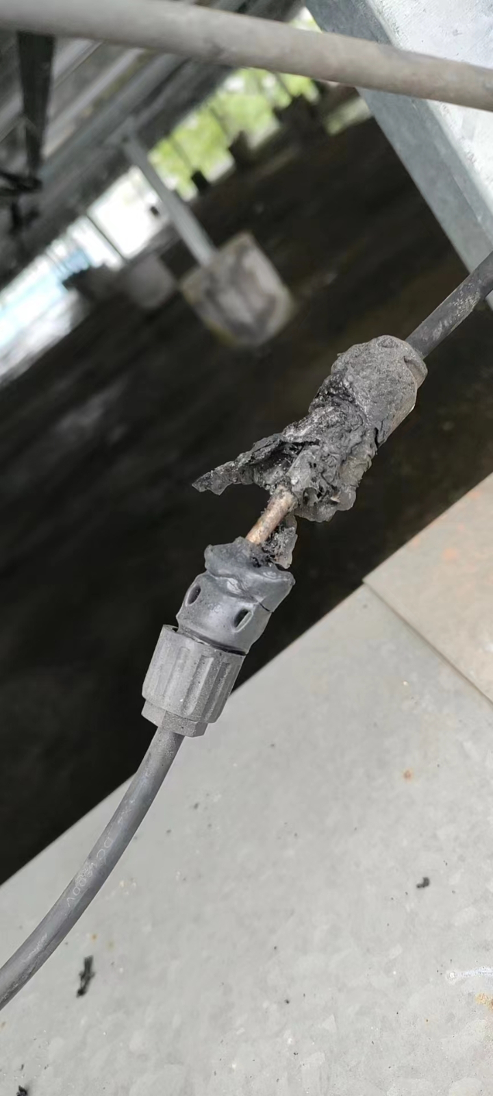 ºþ±±¾ÅÖÞ¹ú¼ÊÂÌÉ«ÄÜÔ´ÓÐÏÞ¹«Ë¾ ºþ±±¾ÅÖÞ¹ú¼ÊÂÌÉ«ÄÜÔ´ÓÐÏÞ¹«Ë¾