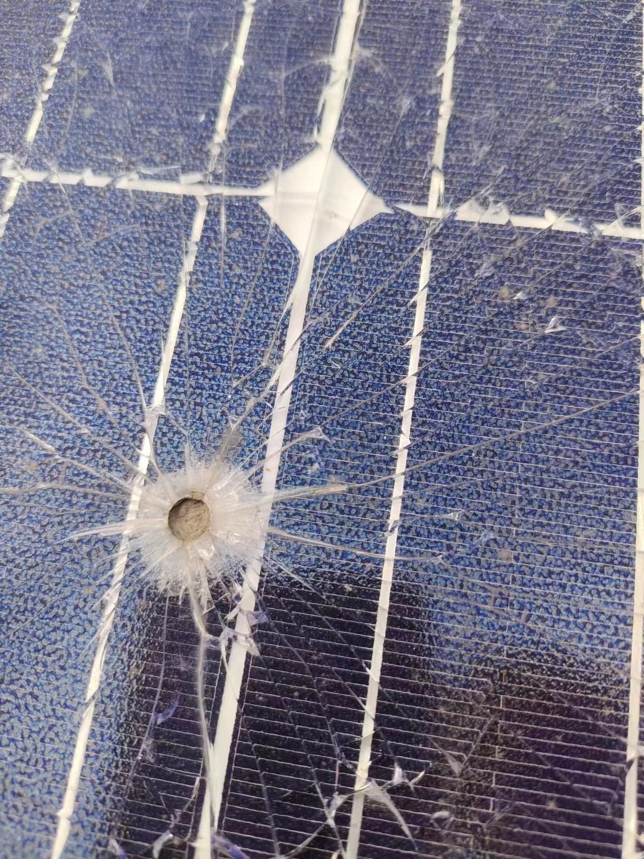 ºþ±±¾ÅÖÞ¹ú¼ÊÂÌÉ«ÄÜÔ´ÓÐÏÞ¹«Ë¾ ºþ±±¾ÅÖÞ¹ú¼ÊÂÌÉ«ÄÜÔ´ÓÐÏÞ¹«Ë¾