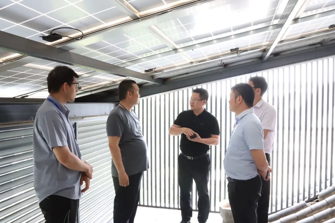 �������޹�����ɫ��Դ���޹�˾