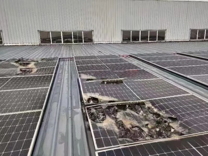 ºþ±±¾ÅÖÞ¹ú¼ÊÂÌÉ«ÄÜÔ´ÓÐÏÞ¹«Ë¾ ºþ±±¾ÅÖÞ¹ú¼ÊÂÌÉ«ÄÜÔ´ÓÐÏÞ¹«Ë¾