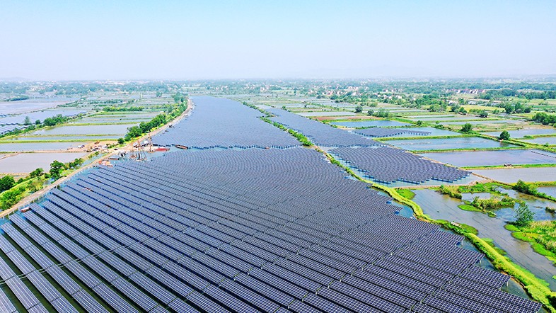 ���޹���